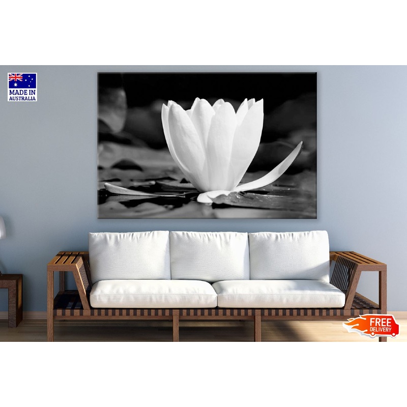 White Lotus Flower B&W Photograph Print 100% Australian Made