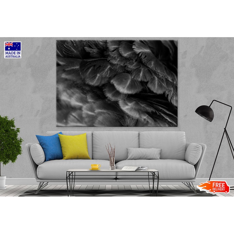 B&W Feathers Closeup Photograph Print 100% Australian Made