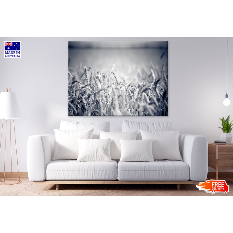 B&W Field Photograph Print 100% Australian Made