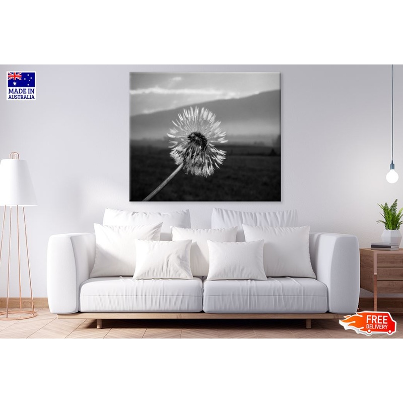 B&W Flower Closeup Photograph Print 100% Australian Made