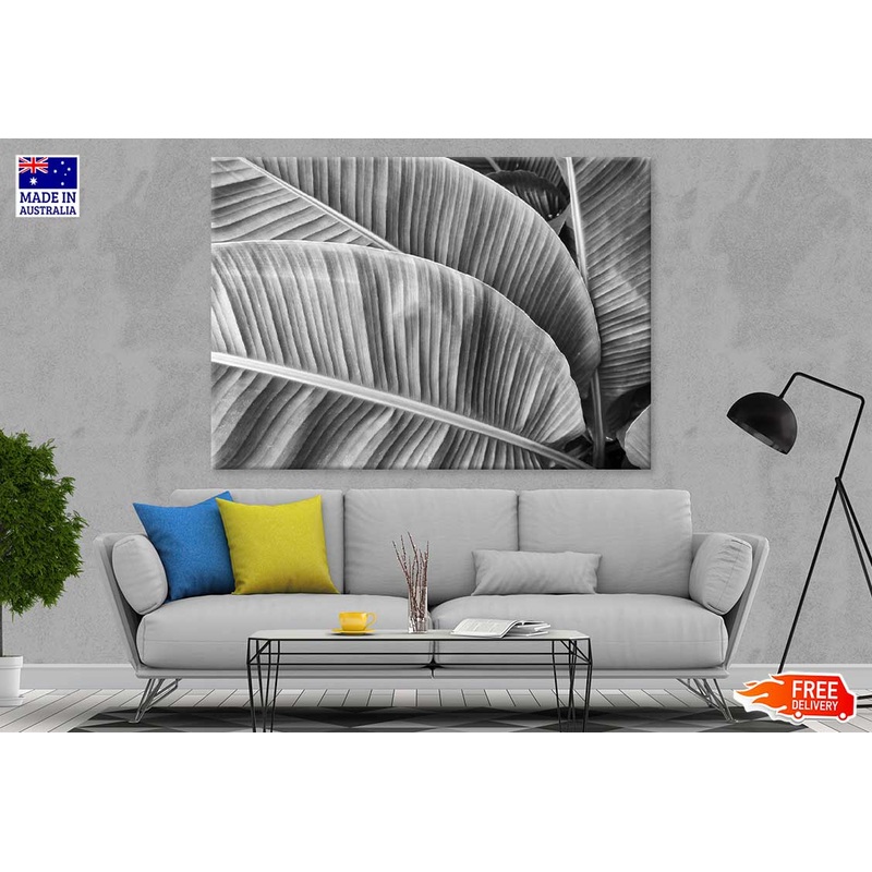 Banana Leaves View B&W Photograph Print 100% Australian Made