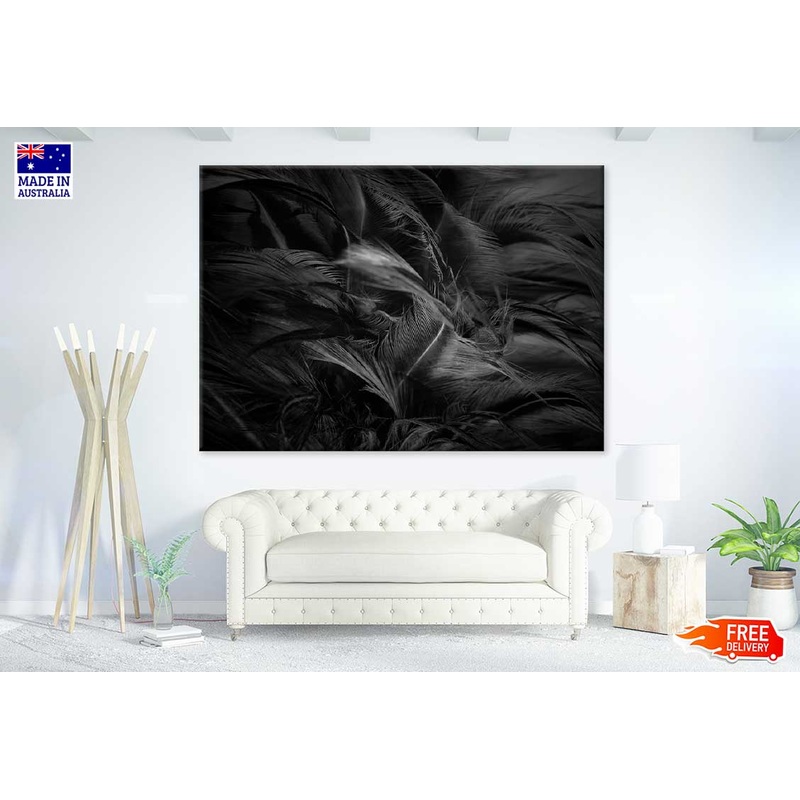 Black Feathers B&W Photograph Print 100% Australian Made
