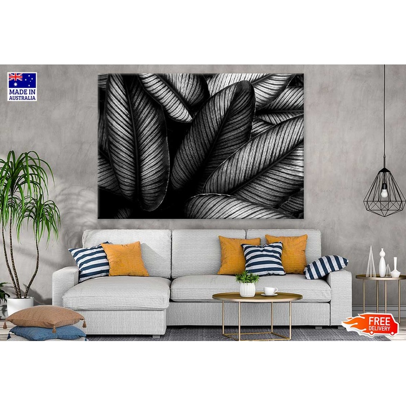 Closeup Leaves B&W Photograph Print 100% Australian Made