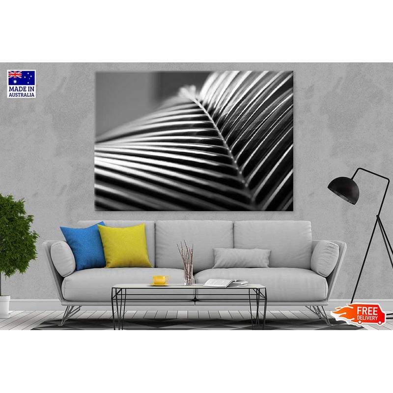 Closeup Palm Leaf B&W Photograph Print 100% Australian Made
