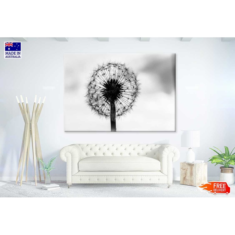 Dandelion Under Sky B&W View Photograph Print 100% Australian Made