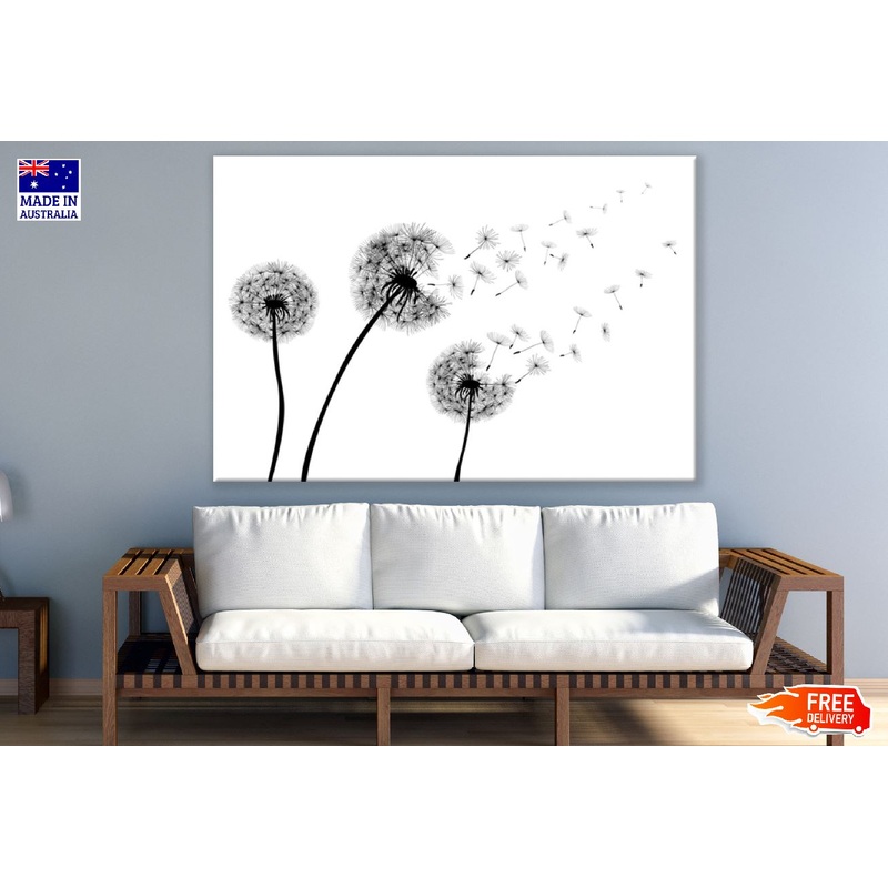 Dandelion with Flying Seeds B&W Photograph Print 100% Australian Made