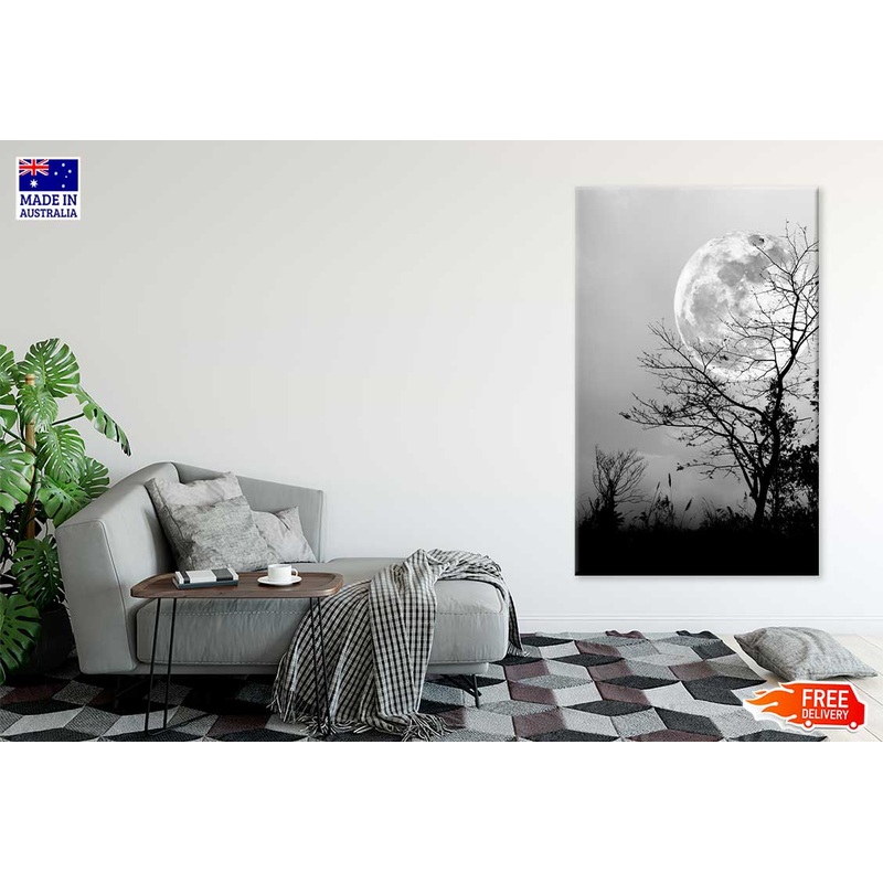 Dry Tree & Night Sky B&W View Photograph Print 100% Australian Made