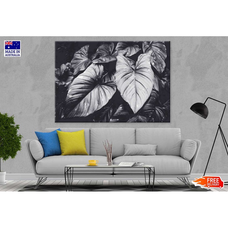 Elephant Ear Plant B&W Photograph Print 100% Australian Made