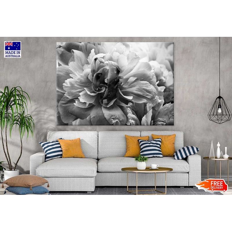 Flower Petals B&W View Photograph Print 100% Australian Made