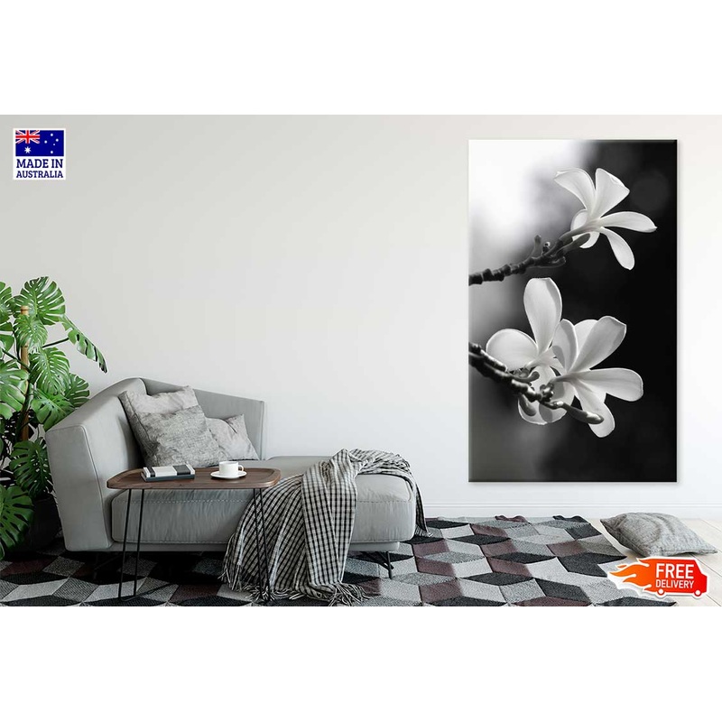 Frangipani Flowers on Tree B&W Photograph Print 100% Australian Made