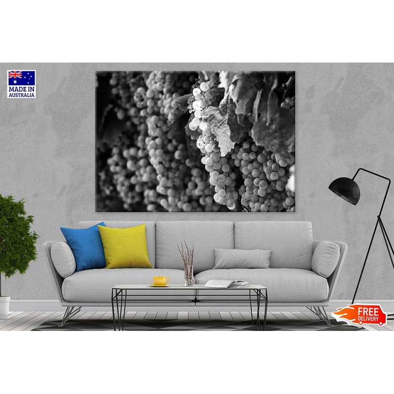 Grapes View B&W Photograph Print 100% Australian Made
