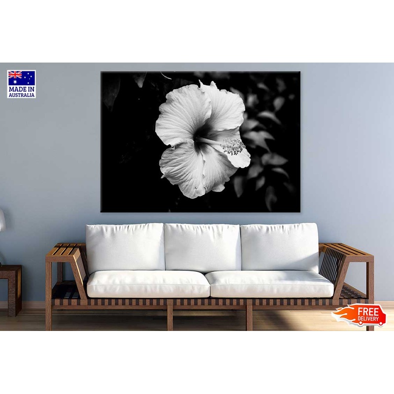 Hibiscus Flower B&W Photograph Print 100% Australian Made