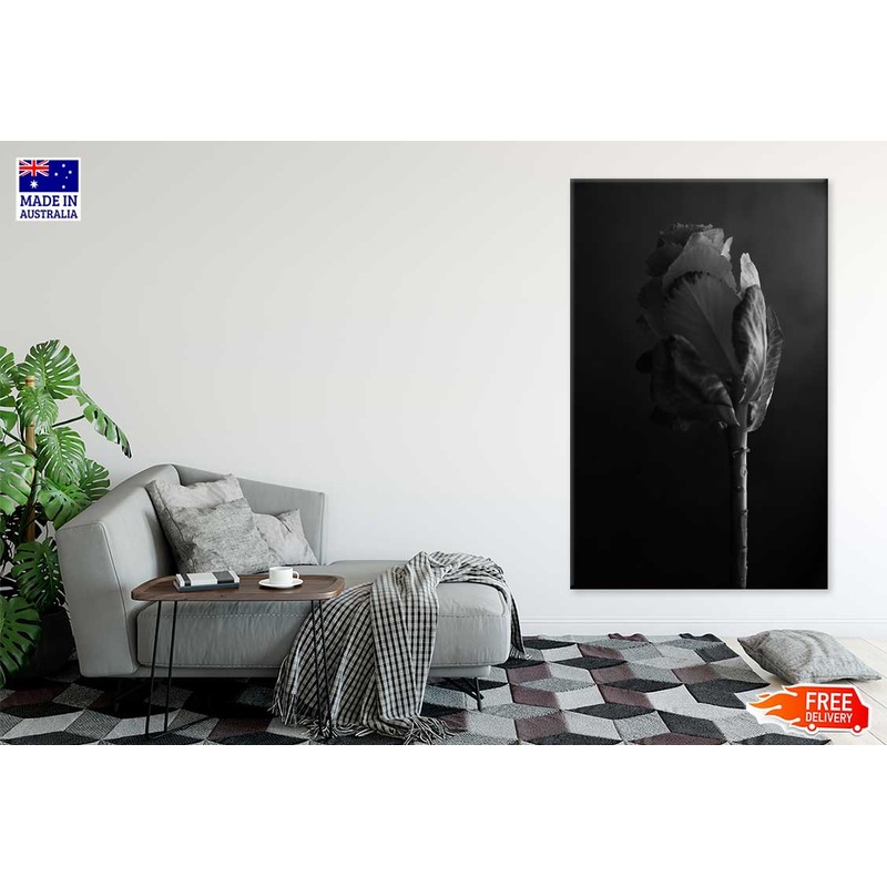 Irises Plant Closeup B&W View Photograph Print 100% Australian Made