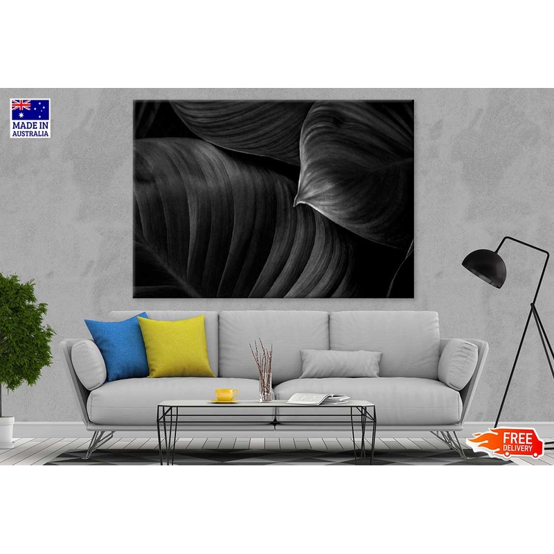 Leaf on Dark B&W Photograph Print 100% Australian Made