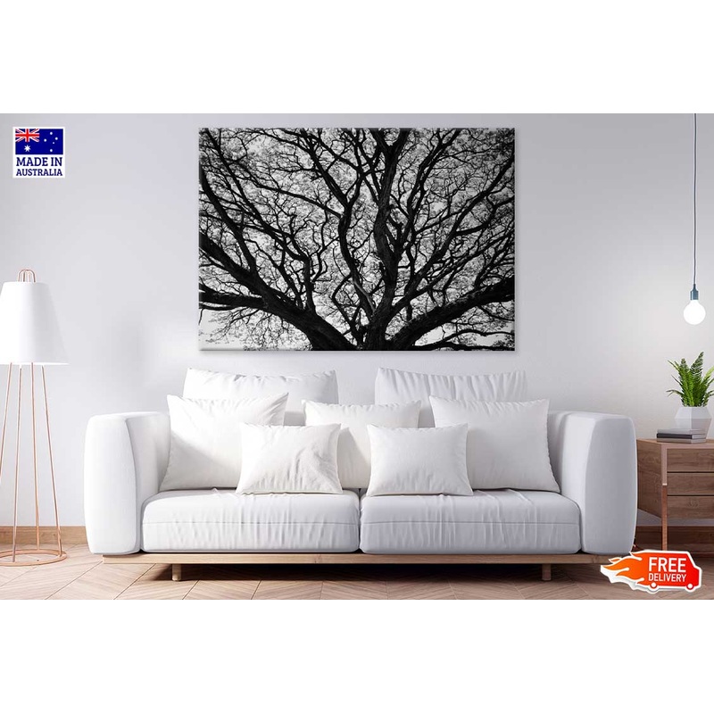 Leafless Tree Branches B&W View Photograph Print 100% Australian Made