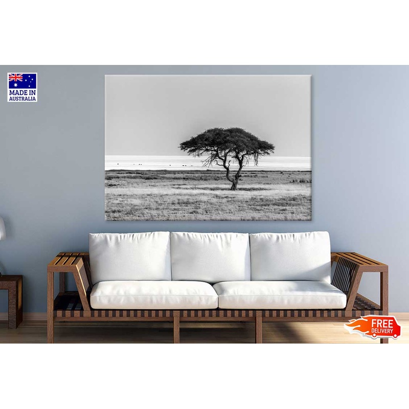 Lonely Tree in Field B&W View Photograph Print 100% Australian Made