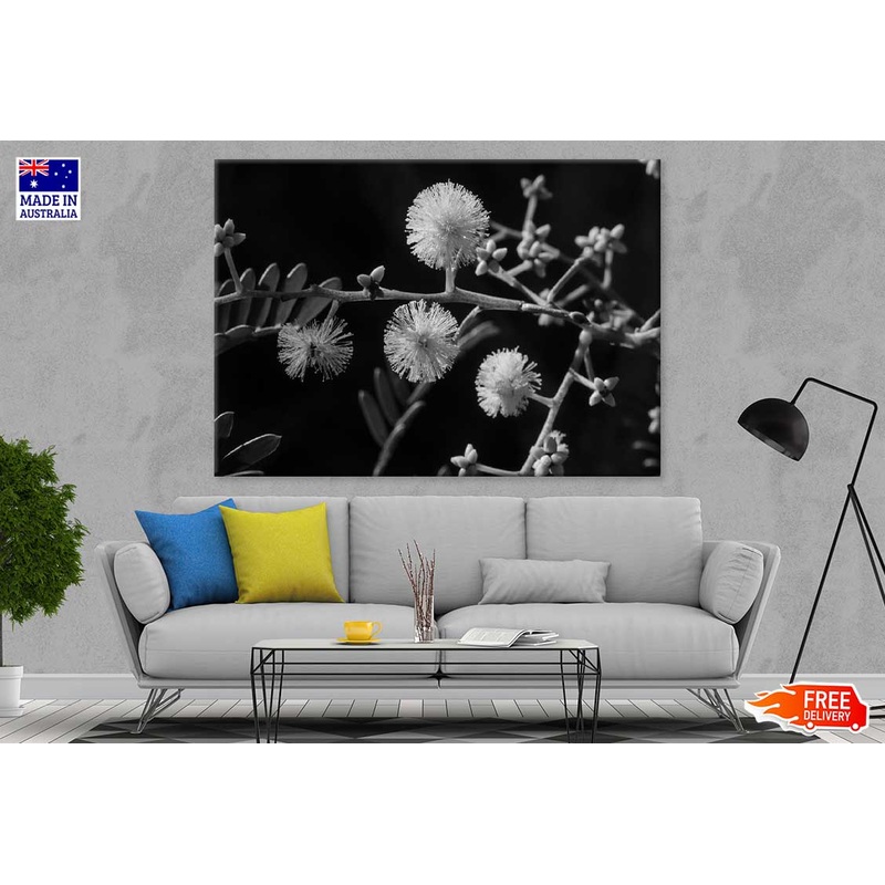 Mallee Gum Tree Flowers B&W View Photograph Print 100% Australian Made