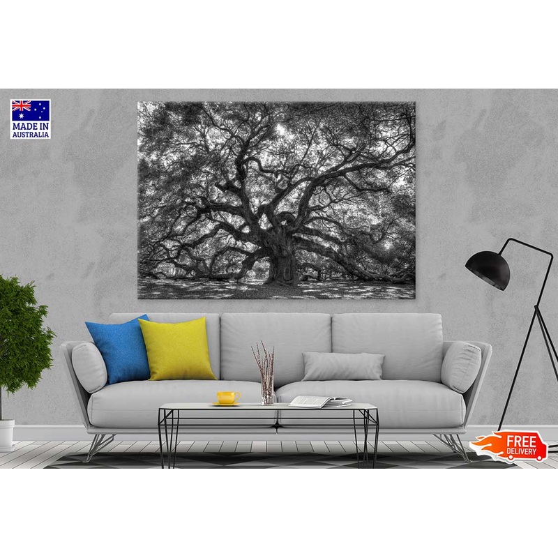 Old Tree with Branches B&W View Photograph Print 100% Australian Made