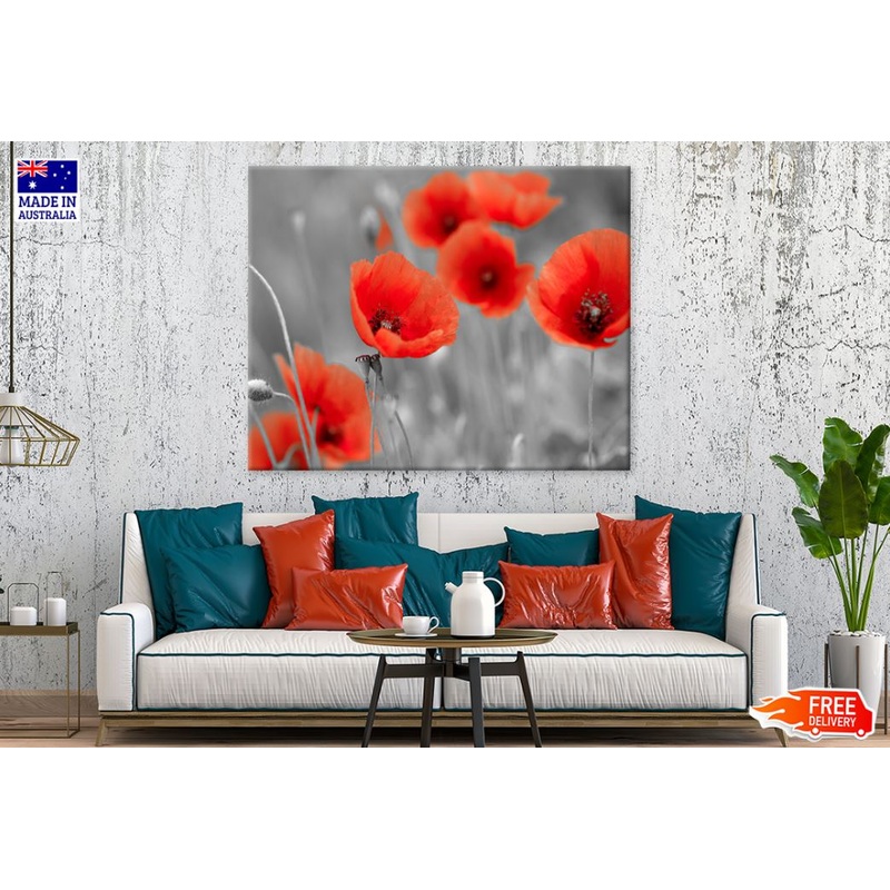 Red Flowers & B&W Photograph Print 100% Australian Made