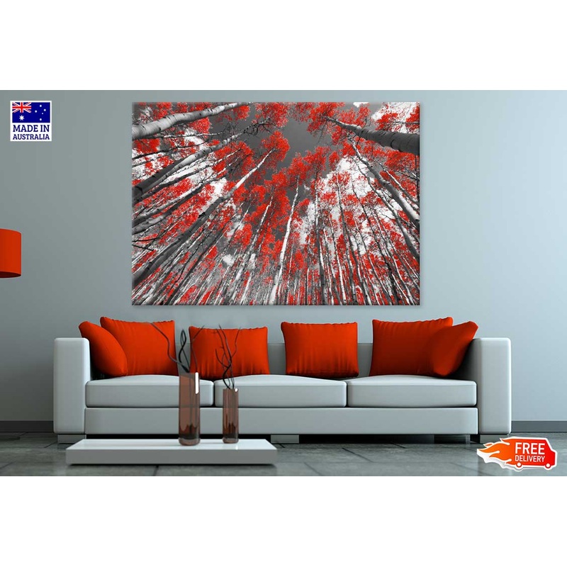 Red Leaves Trees B&W Photograph Print 100% Australian Made