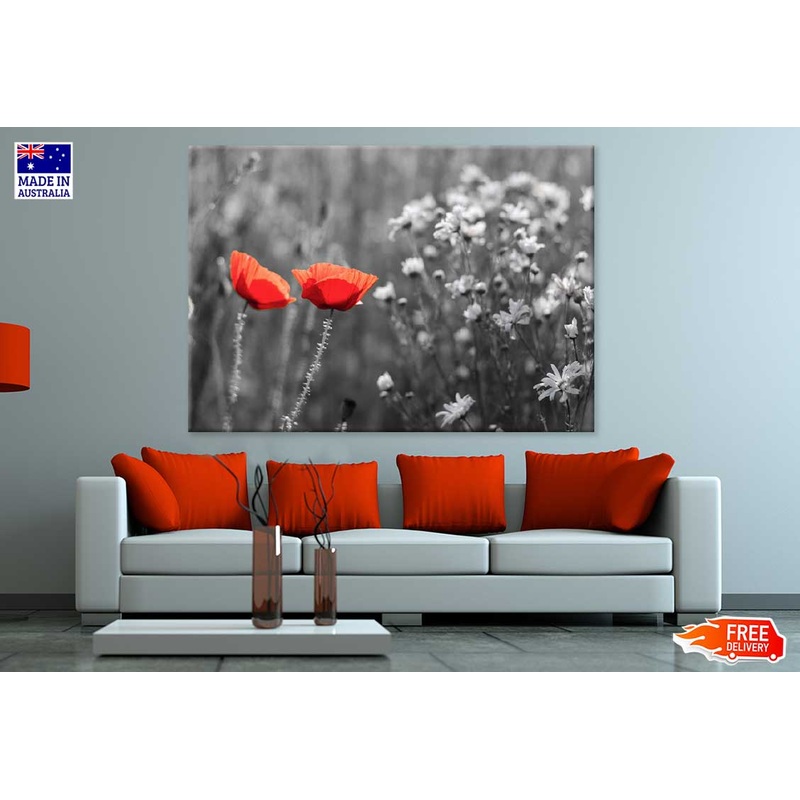 Red Poppy Flowers B&W Photograph Print 100% Australian Made