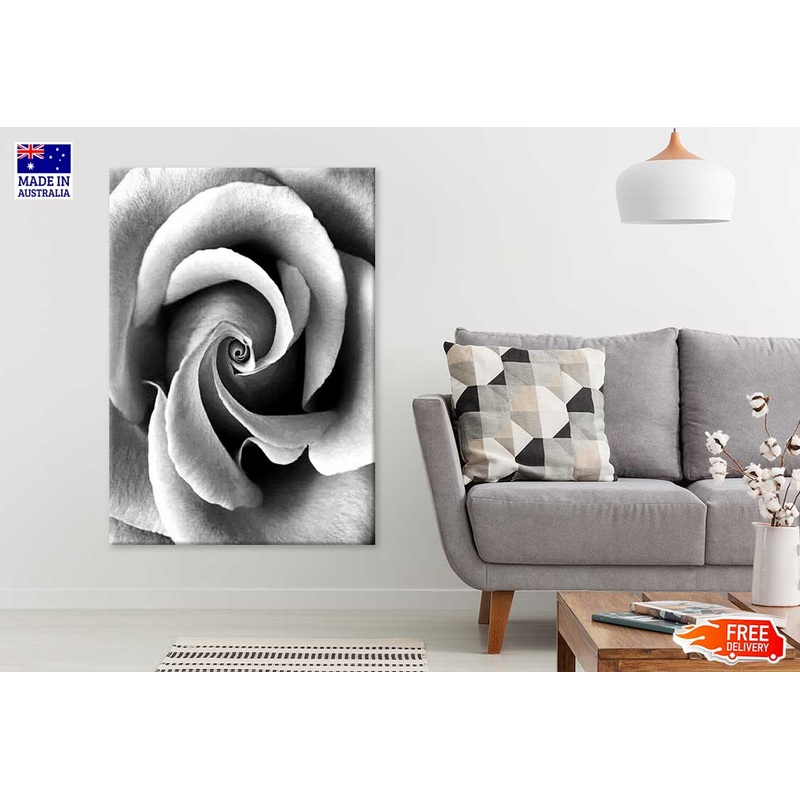 Rose Flower Closeup B&W View Photograph Print 100% Australian Made