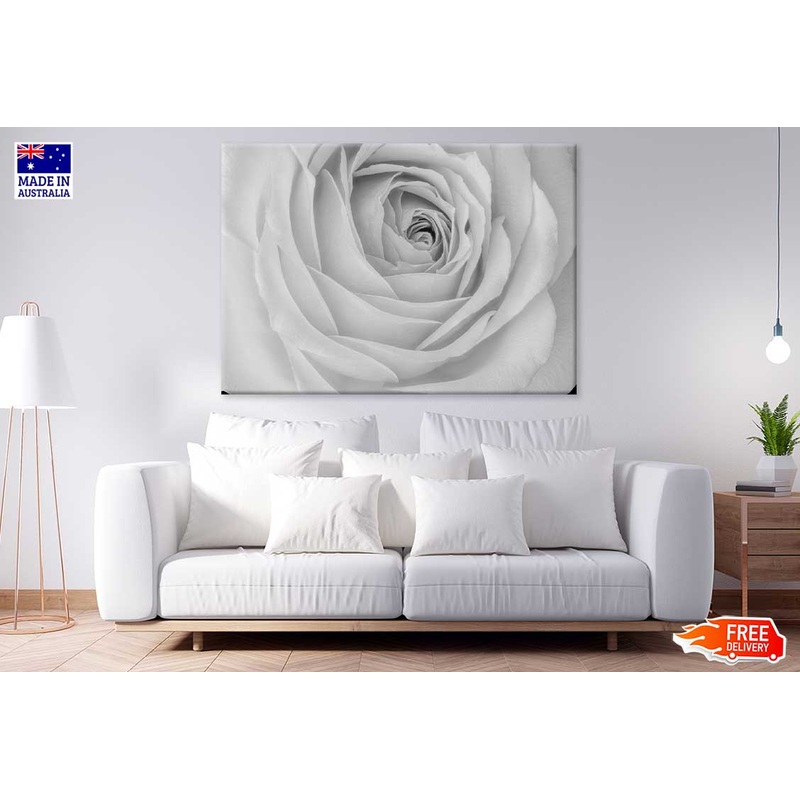 Rose Flower Closeup B&W View Print 100% Australian Made