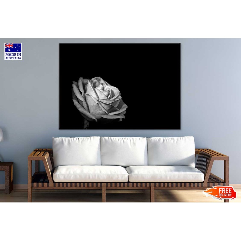 Rose Flower on Dark B&W View Photograph Print 100% Australian Made