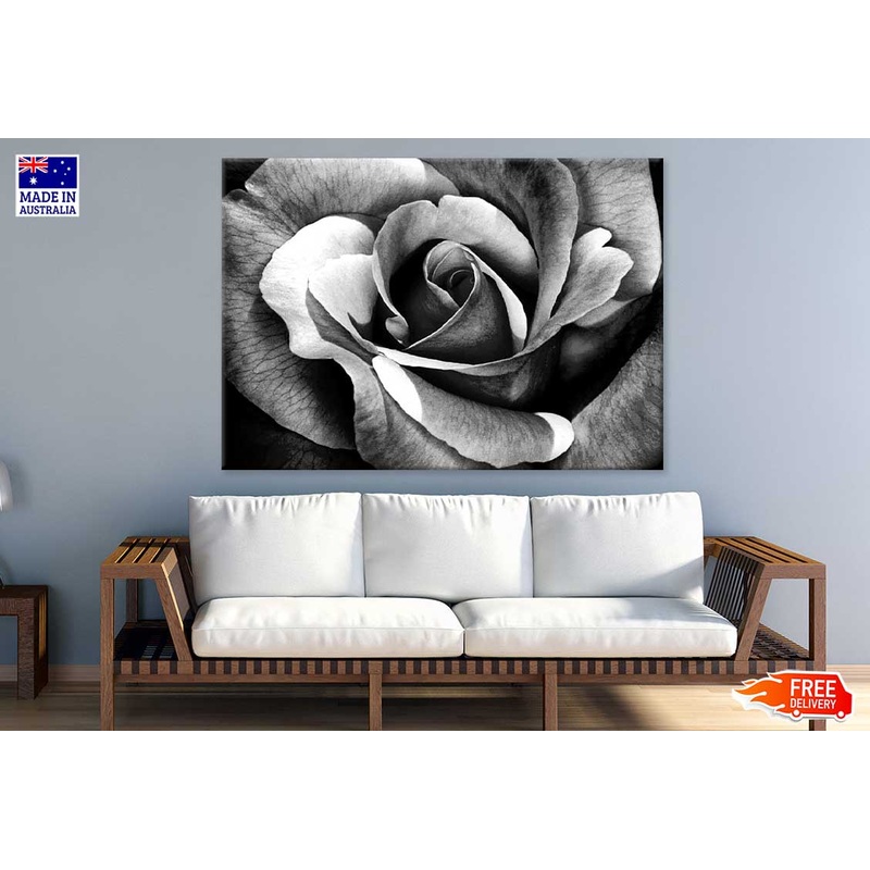 Rose Flower Petals B&W Photograph Print 100% Australian Made