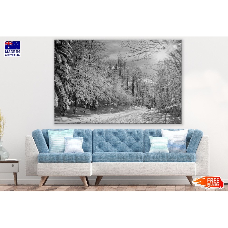 Snow Forest B&W Photograph Print 100% Australian Made