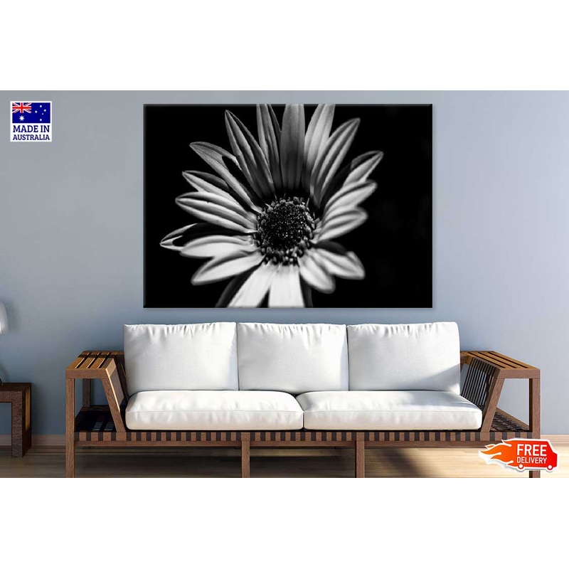 Sunflower Closeup B&W Photograph Print 100% Australian Made