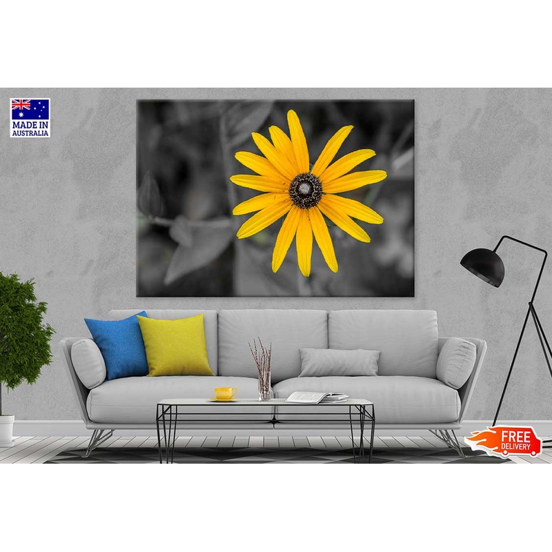 Yellow Daisy Flower B&W View Photograph Print 100% Australian Made
