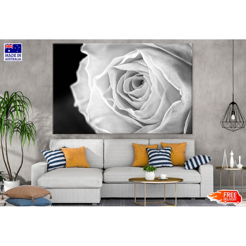 B&W Rose Flower Closeup Photograph Print 100% Australian Made