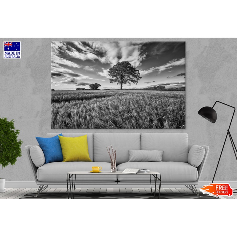 B&W Trees & Sky View Photograph Print 100% Australian Made