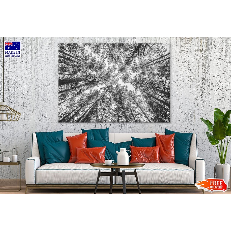 B&W Trees Tops View Photograph Print 100% Australian Made