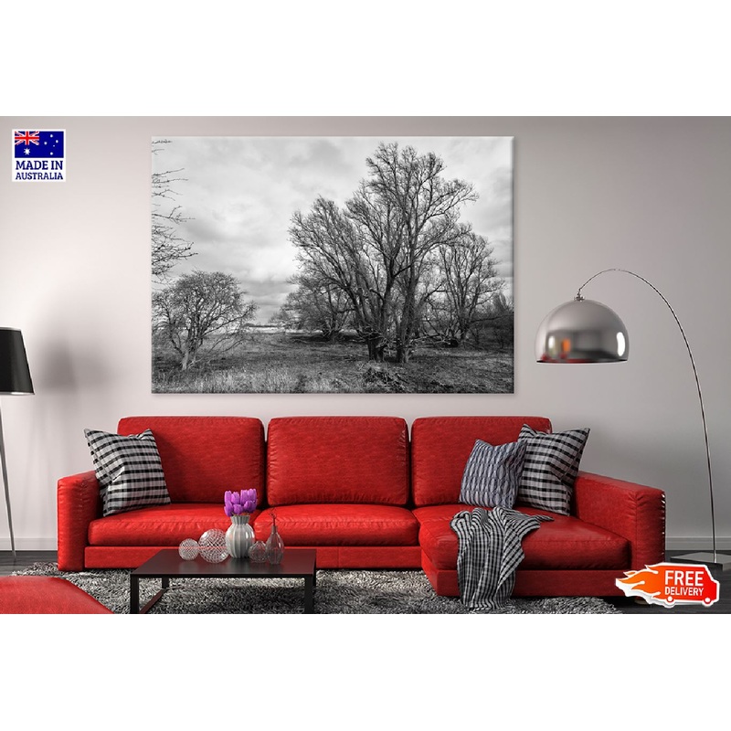 Bold Dead Trees B&W View Photograph Print 100% Australian Made