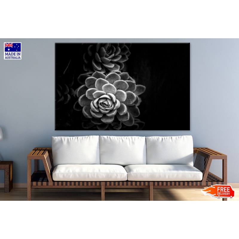 Cactus Plant Closeup B&W Photograph Print 100% Australian Made