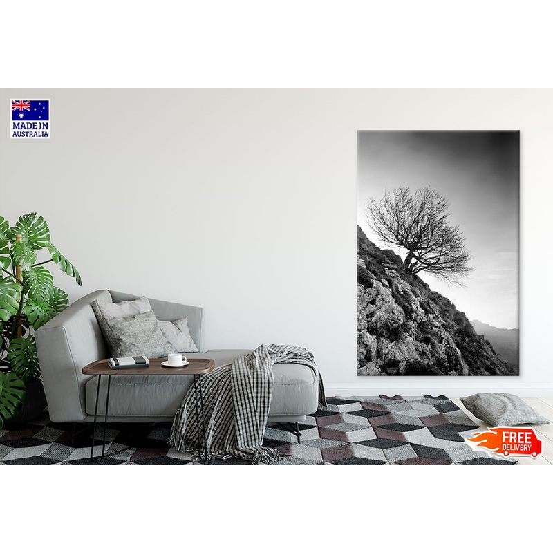 Dead Tree on Hill B&W Photograph Print 100% Australian Made