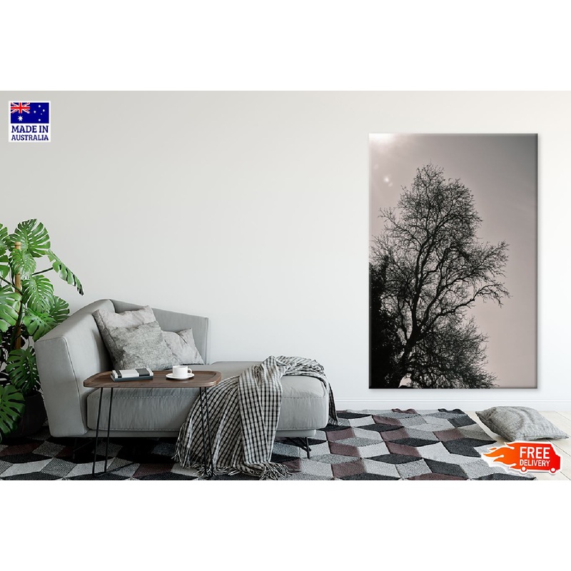Dead Tree with Sky B&W Photograph Print 100% Australian Made