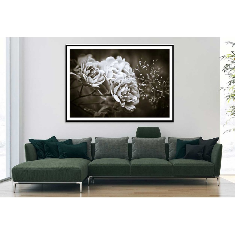 Floribunda Roses B&W Photograph Home Decor Premium Quality Poster Print Choose Your Sizes