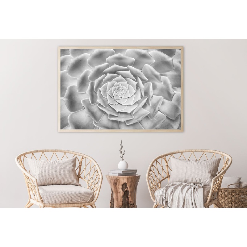 Flower Petals Closeup B&W View Photograph Home Decor Premium Quality Poster Print Choose Your Sizes