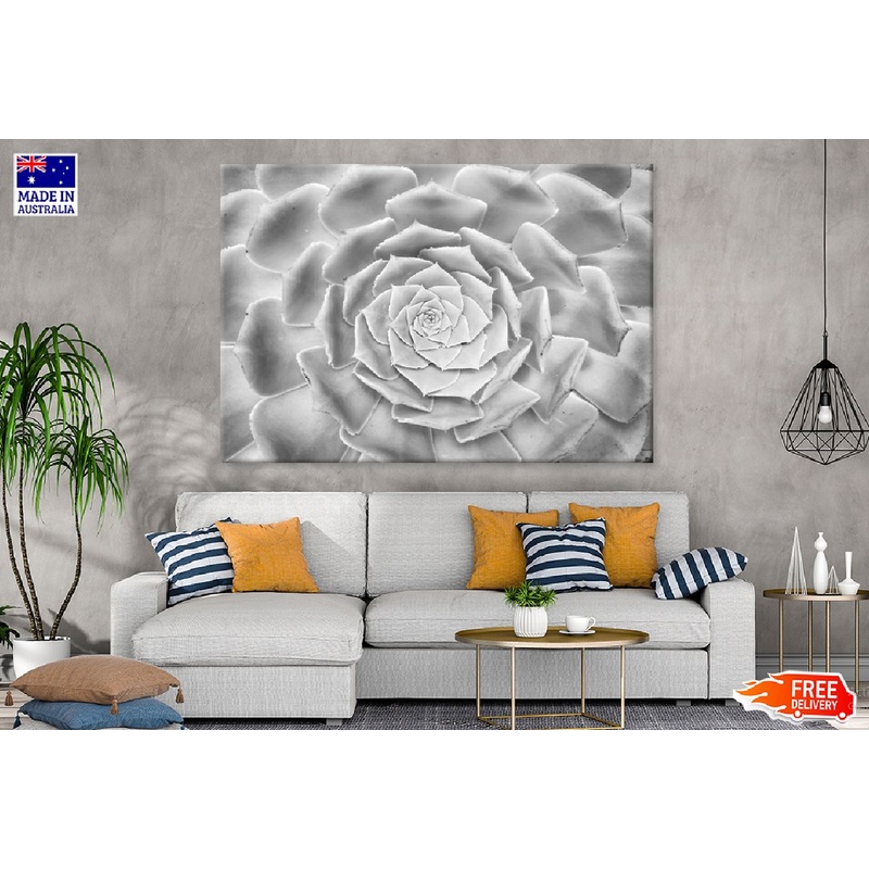 Flower Petals Closeup B&W View Photograph Print 100% Australian Made