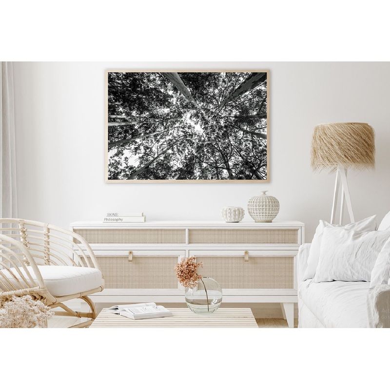 Forest Trees View from Below B&W Photograph Home Decor Premium Quality Poster Print Choose Your Sizes