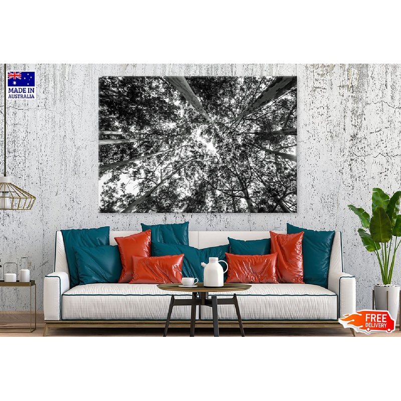 Forest Trees View from Below B&W Photograph Print 100% Australian Made