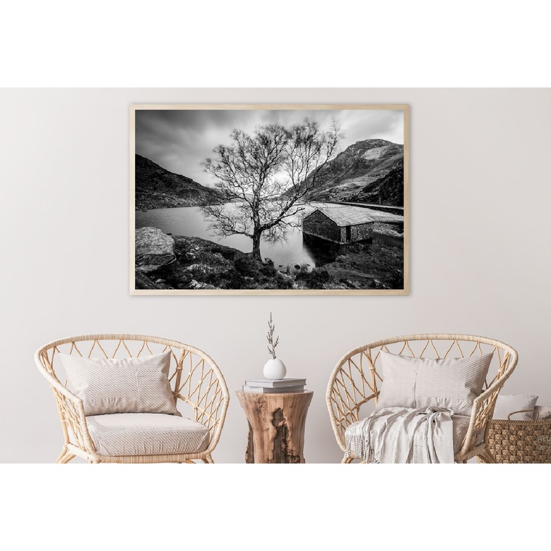 House & Tree near Lake B&W View Photograph Home Decor Premium Quality Poster Print Choose Your Sizes