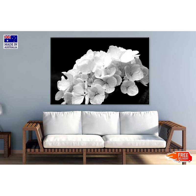 Hydrangea Flowers B&W Photograph Print 100% Australian Made