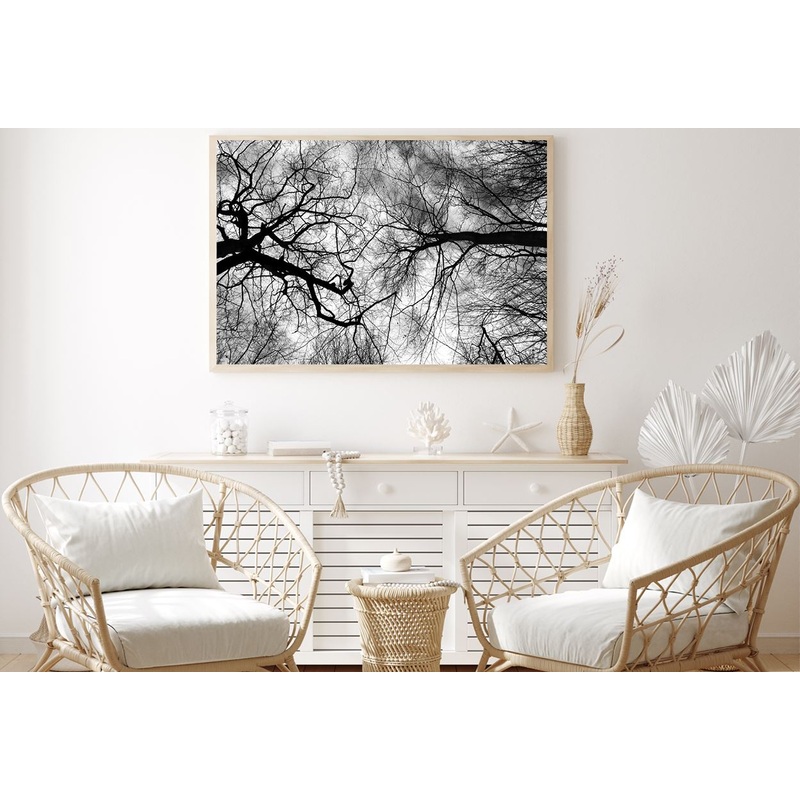 Leafless Tree Branches B&W View Home Decor Premium Quality Poster Print Choose Your Sizes