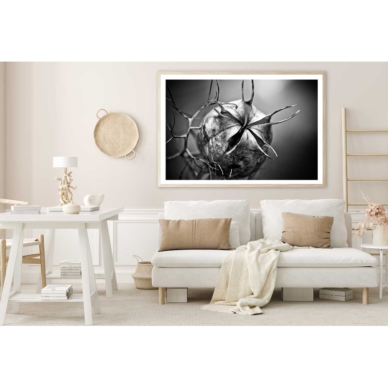 Nigella Closeup B&W View Photograph Home Decor Premium Quality Poster Print Choose Your Sizes