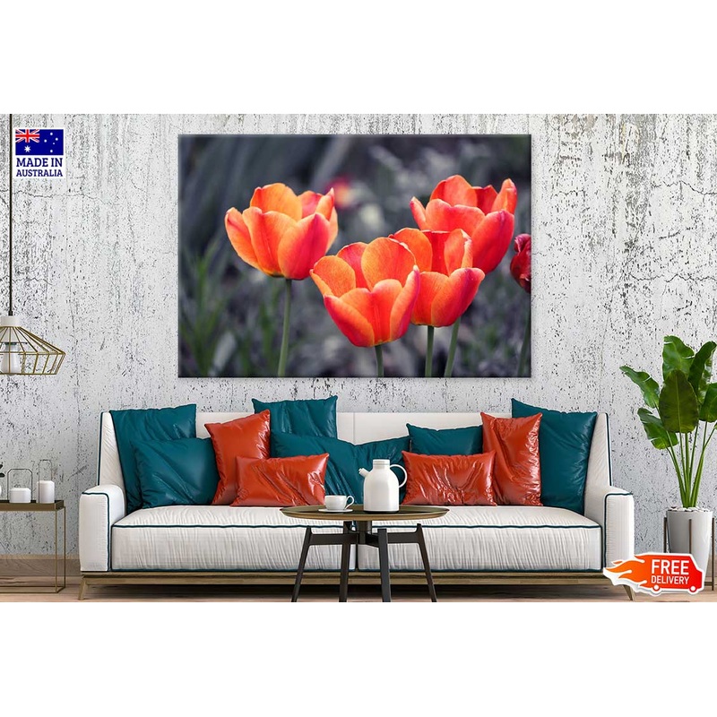 Orange Tulips with B&W View Photograph Print 100% Australian Made
