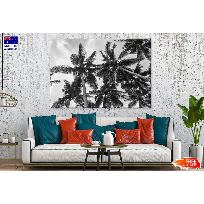 Palm Trees View From Below B&W Photograph Print 100% Australian Made